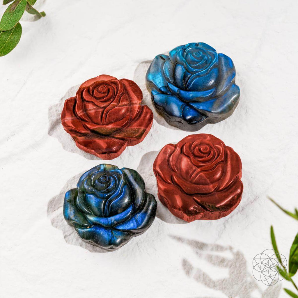 Beautifully Unique - Blossoming Rose of Singularity